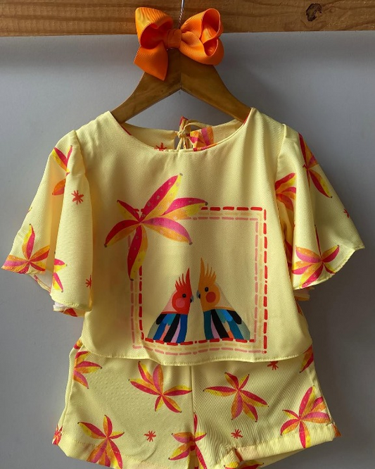 Conjunto Pássaros